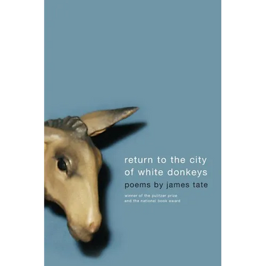 Return to the City of White Donkeys: Poems