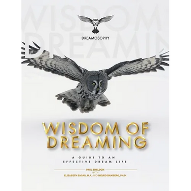 Wisdom of Dreaming: A Guide to an Effective Dream Life