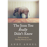 The Jesus You Really Didn't Know: Rediscovering the Teaching Ministry of Jesus
