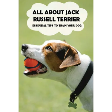 All About Jack Russell Terrier: Essential Tips To Train Your Dog: Things You Didn'T Know About Jack Russell Terriers