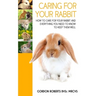 Caring For Your Rabbit: How to care for your Rabbit and everything you need to know to keep them well