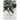Green to Grey: An Environmental Anthology