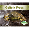 Goliath Frogs