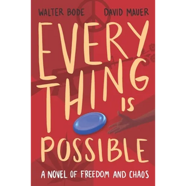 Every Thing Is Possible: A Novel of Freedom and Chaos