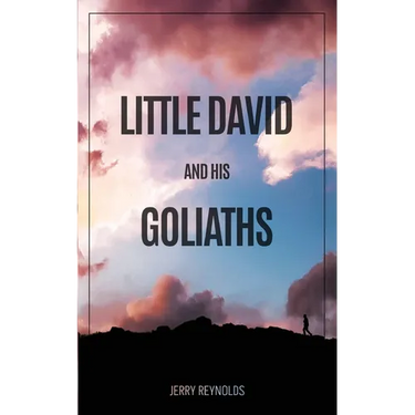 Little David and Goliaths