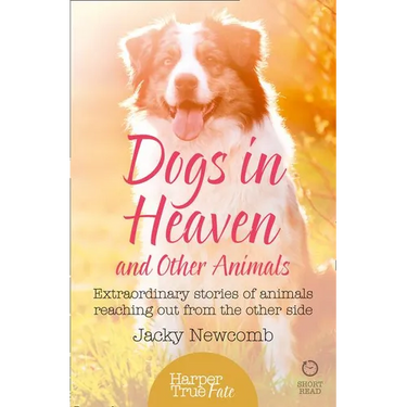 Dogs in Heaven: and Other Animals: Extraordinary stories of animals reaching out from the other side