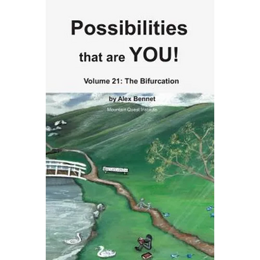 Possibilities that are YOU!: Volume 21: The Bifurcation