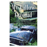 My Fallow Ground: How "Brokenness" Can Be Your Best Friend