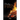 Poetry on Fire