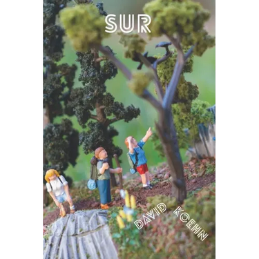 Sur