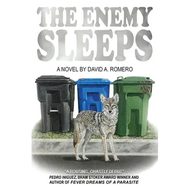 The Enemy Sleeps