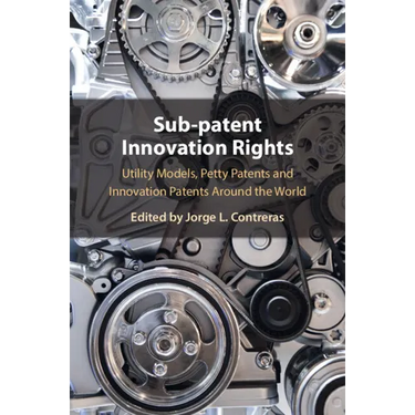 Sub-Patent Innovation Rights