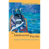 The Adolescent Psyche: Jungian and Winnicottian Perspectives