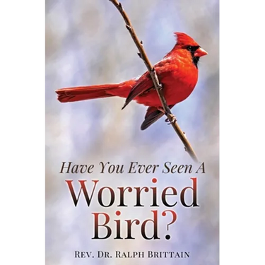 Have You Ever Seen A Worried Bird?