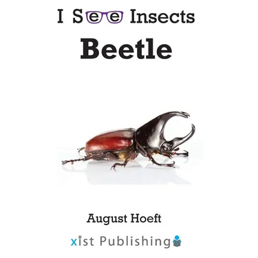 Beetle