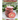 Chirstmas Cookie Cookbook: Over 100 Recipes to Celebrate the Season