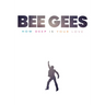 Bee Gees: How Deep Is Your Love