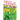 Clover Covered Corpse: A Texas Flower Farmer Cozy Mystery