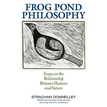 Frog Pond Philosophy: Essays on the Relationship Between Humans and Nature