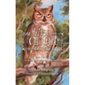 How Wise Old Owl Got His Name
