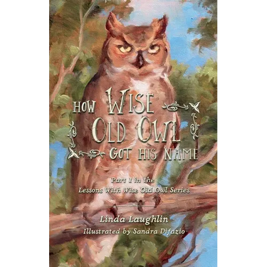 How Wise Old Owl Got His Name