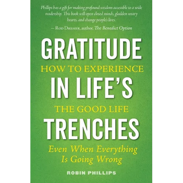 Gratitude in Life's Trenches: How to Experience the Good Life . . . Even When Everything Is Going Wrong