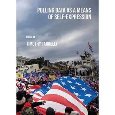 Polling Data as a Means of Self-Expression