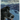 Life Lessons from a Sled Dog