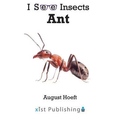 Ant