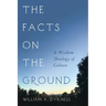 The Facts on the Ground: A Wisdom Theology of Culture