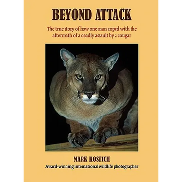 Beyond Attack