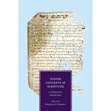 Jewish Concepts of Scripture: A Comparative Introduction