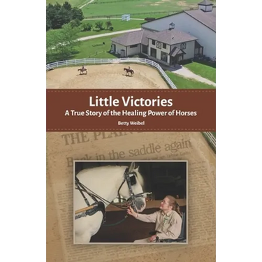 Little Victories: A True Story of the Healing Power of Horses