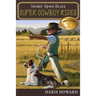 Super Cowboy Rides