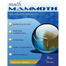 Math Mammoth Multiplication 2