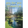 Stories, Poems, and Secrets Beneath the Waterfall