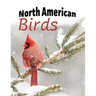 North American Birds