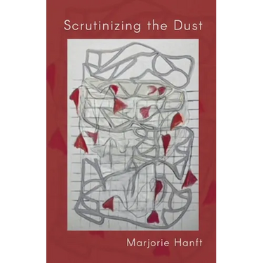 Scrutinizing the Dust