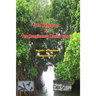 The Mangroves & The Manglicolous Marine Fungi