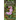 Woody Bog Plants: A Field Guide for New England and Adjacent Canada