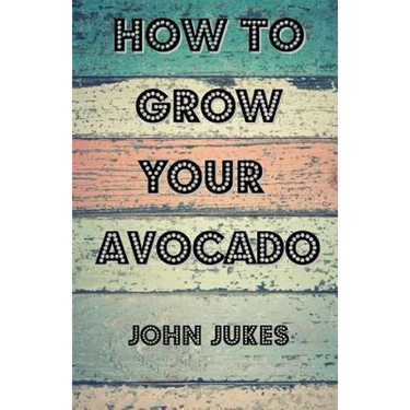 How To Grow Your Avocado