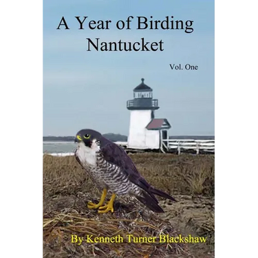 A Year of Birding Nantucket