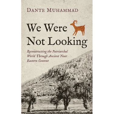 We Were Not Looking: Reconstructing the Patriarchal World Through Ancient Near Eastern Context