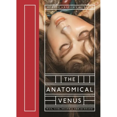 The Anatomical Venus: Wax, God, Death & the Ecstatic