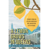 A Lemon Grows in Queens: Stories From an Italian-American Girl Navigating Life in Chaos