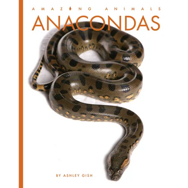 Anacondas