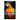 The Bird Book: Educational & Warmhearted Nature Stories for the Youngest
