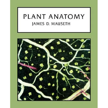 Plant Anatomy
