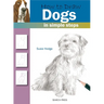 How to Draw Dogs in Simple Steps