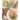 Oat Cookbook: Live a Healthy Life with These Oat Recipes